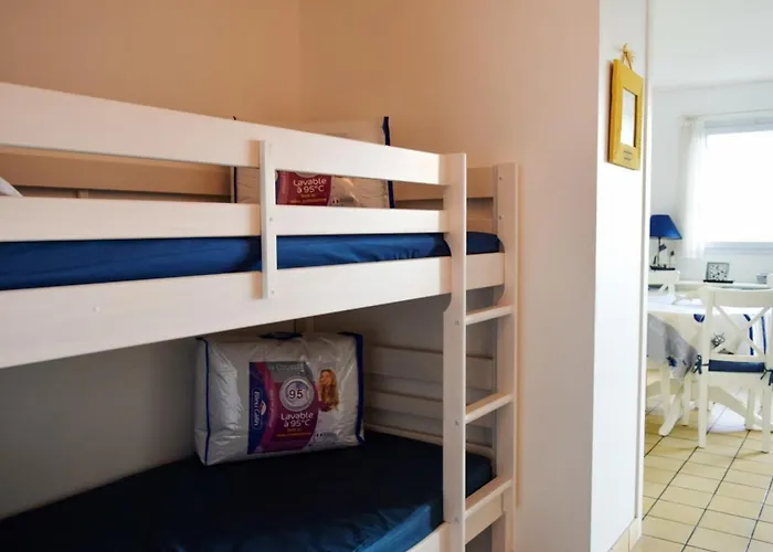 公寓 2 Etoiles, Balcon, Marche Arago, 350m Plage, - Fr-1-197-465 *