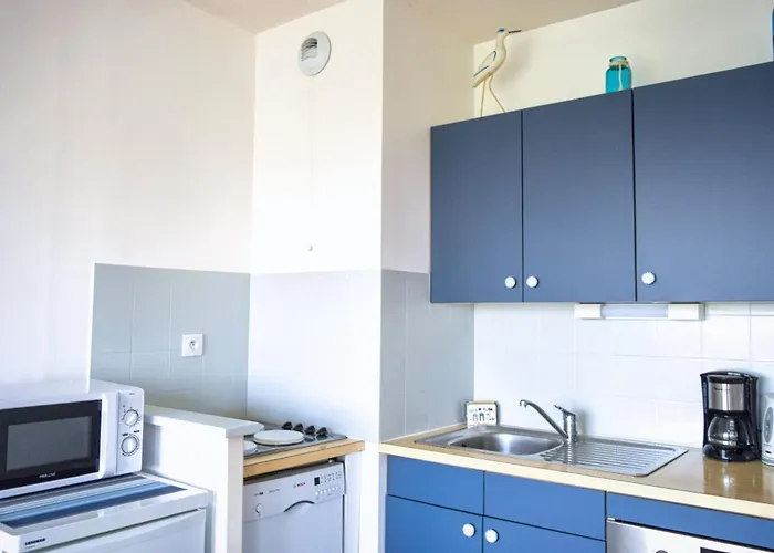 2 Etoiles, Balcon, Marche Arago, 350m Plage, - Fr-1-197-465 莱萨布勒-多洛讷